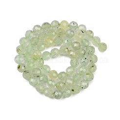 Natur Prehnit Perlen Stränge&nbsp;G-G281-B02-6mm