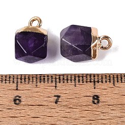 Natürlichen Amethyst Edelsteinanhänger&nbsp;G-N359-18G-05