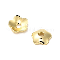 Perlenkappen aus Edelstahl 304&nbsp;STAS-L285-007G