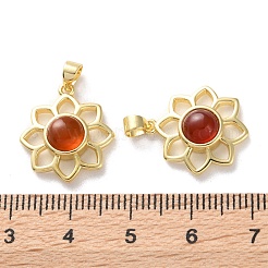 Natürlichen Karneol Anhänger&nbsp;G-B123-02G-07