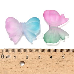 Gefrostet transparent Acrylperlen&nbsp;OACR-D315-04