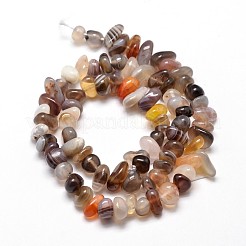 Natur Botswana Achat Chip-Perlen-Stränge&nbsp;G-E271-104