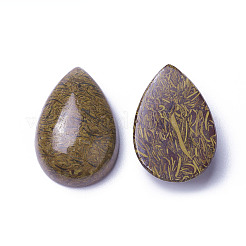 Natürliche Jade cabochons&nbsp;G-F605I-01