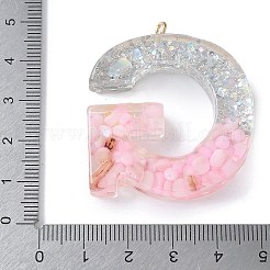 Pendentifs en résine&nbsp;RESI-B029-01P-G