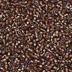 Miyuki Delica Perlen&nbsp;SEED-MY11-DB1759