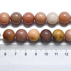 Natürliche versteinertes Holz runden Perlen Stränge&nbsp;G-D356-C01-10mm