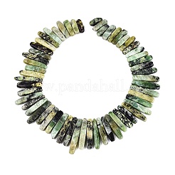 Cuentas serpentinas naturales hebras&nbsp;G-Q616-06D