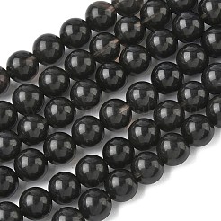 Natürliche Eis Obsidian Perlen Stränge&nbsp;G-P590-A02-10mm-01