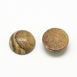 Cabochon di diaspro dell'immagine naturale&nbsp;G-R416-12mm-42