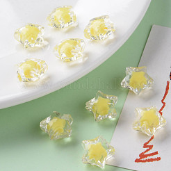 Transparente Acryl Perlen&nbsp;TACR-S152-02A-SS2105