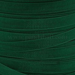 Ruban d'organza polyester&nbsp;ORIB-L001-02-342