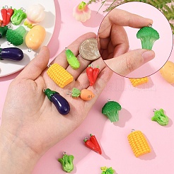 30pcs 10 styles de pendentifs en résine&nbsp;RESI-YW0004-20