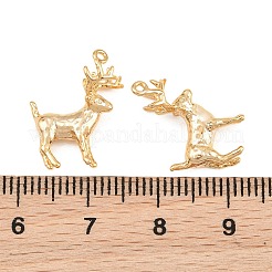 Messing Anhänger & Charms&nbsp;KK-CBA866A-02G
