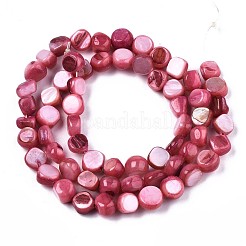 Naturali di acqua dolce perline shell fili&nbsp;SHEL-S276-110A-06