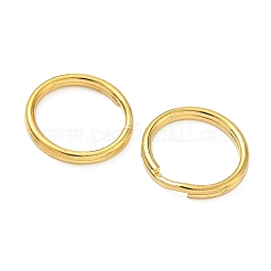 Anelli di ferro spezzati&nbsp;FIND-C084-03A-G