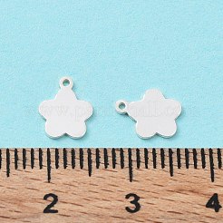 925 Sterling Silber Charme&nbsp;STER-F053-13S