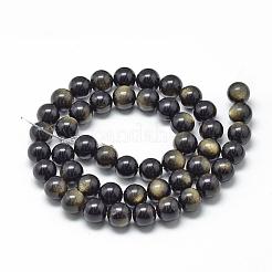 Brillo dorado natural de abalorios de obsidiana hebras&nbsp;G-R446-14mm-23