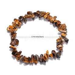 Tigerauge Chips dehnen Armbänder&nbsp;BJEW-JB01308-02