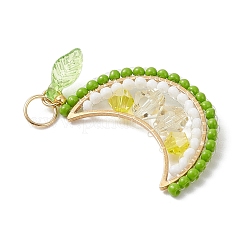 Pendentifs en forme de fruits en perles de verre rondes&nbsp;PALLOY-MZ00864-03