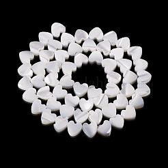 1 hebra de cuentas de concha de troquídea natural/concha de troco&nbsp;BSHE-TA0001-39