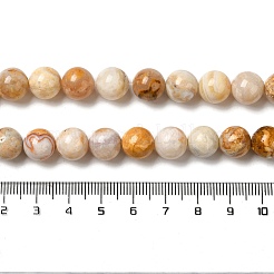 Fili di perline di agata di pizzo naturale pazzesco&nbsp;G-H298-A12-04