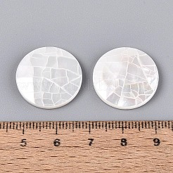 Natürliche weiße Muschel cabochons&nbsp;BSHE-T014-49