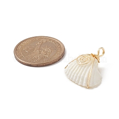 Pendentifs enveloppés de fil de cuivre en spirale naturelle&nbsp;PALLOY-TA00015