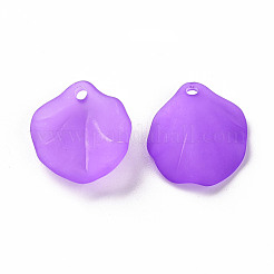 Pendentifs acryliques mats transparents&nbsp;MACR-S371-02A-747