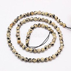 Chapelets de perles en jaspe de dalmation naturelle&nbsp;G-G545-11