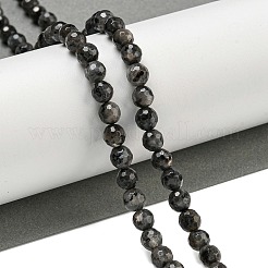 Brins de perles de larvikite naturelles&nbsp;G-E571-A09-01