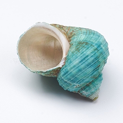Muscheln von Einsiedlerkrebsen&nbsp;SSHEL-WH0001-15E