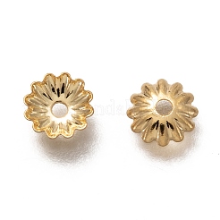 Capuchons de perles en acier inoxydable 304&nbsp;STAS-H130-30G