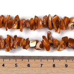 Shell perle naturali fili&nbsp;SHEL-K009-10