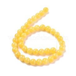 Natur Mashan Jade Perlen Stränge&nbsp;G-H1626-10MM-06