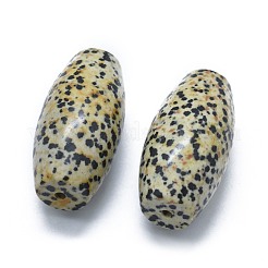 Diaspro naturale dalmata due perline a mezzo foro&nbsp;G-G795-11-13