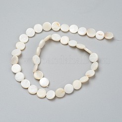 Perles de coquillages naturels d'eau douce&nbsp;X-BSHE-I011-01D-02