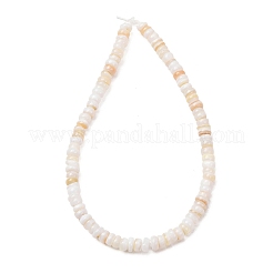 Naturali di acqua dolce perline shell fili&nbsp;SH-CBA2978-05A
