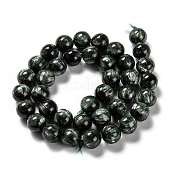 Naturperlen Stränge SERAPHINITE&nbsp;G-E557-22B