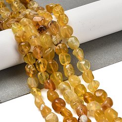 Natürliche gelb Opalkorne Stränge&nbsp;G-P497-01E-34B