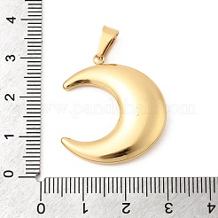 Pendentifs en acier inoxydable 304&nbsp;STAS-C163-05C-G
