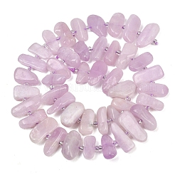 Naturperlen Stränge kunzite&nbsp;G-L657-E05-01