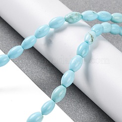 Fili di perline howlite naturale&nbsp;G-H025-02A