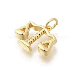 Messing Anhänger & Charms&nbsp;KK-L225-026G