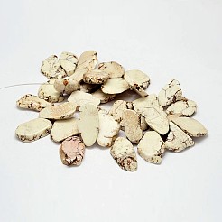 Fili di perline di magnesite naturale tinti&nbsp;G-M156-06