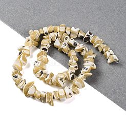 Fili di perline di conchiglia trochus naturale&nbsp;BSHE-S304-04