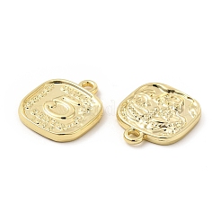 Cremagliera pendenti della lega di placcatura&nbsp;FIND-G044-15LG