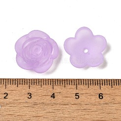 Gefrostet transparent Acrylperlen&nbsp;OACR-U006-03H
