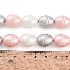 Perles de perles de coquille galvanoplastie&nbsp;BSHE-H110-01-05