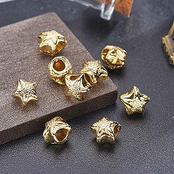 Perles en alliage&nbsp;TIBEB-A004-010G-NR