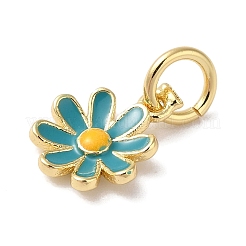 Messing Emaille Anhänger / charms&nbsp;KK-L216-006G-04